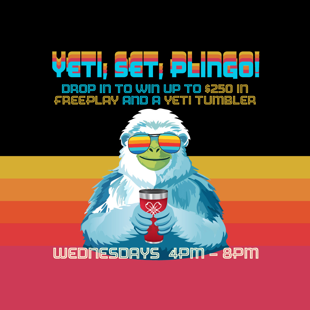 Image for Yeti, Set, Plingo! promotion.