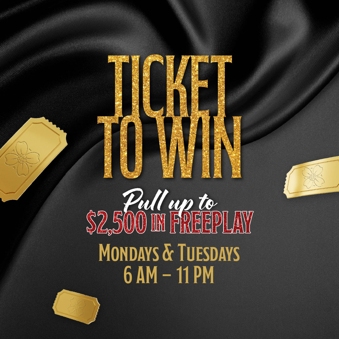 Ticket to Win Promotion